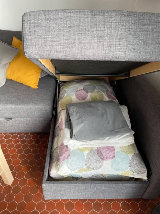 شقة Studio Cosy Et Lumineux De 35M2 A Romagnat المظهر الخارجي الصورة